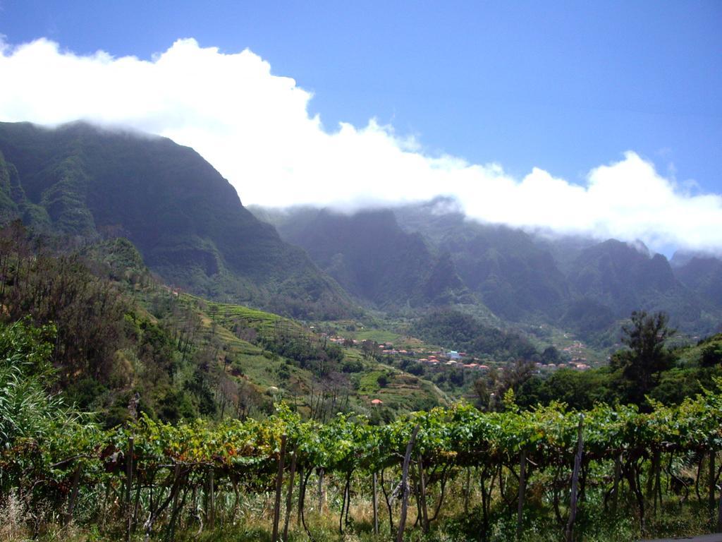 Holidays Madeira เซาวิเซนเจ ห้อง รูปภาพ